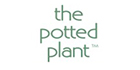 Potted Plant